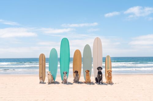 Surfs up San Diego - Gray Malin - Fotografia