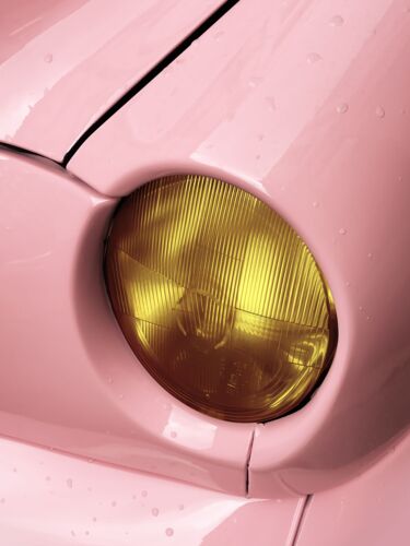 Oeil de biche - Guillaume LAVRUT - Photographie
