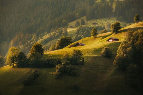 Countryside
