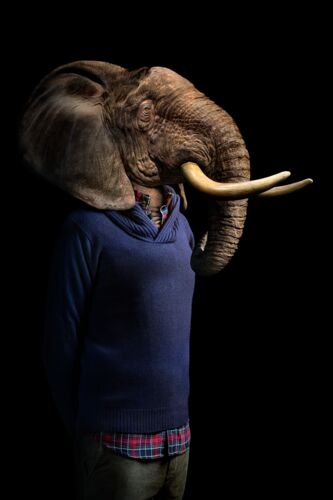 Elefant
