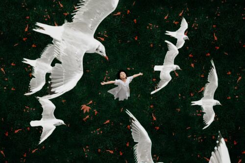 Birds