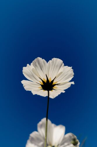 Blue sky - Nicolas Leconte - Fotografia