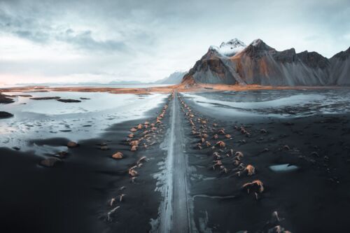 Extreme Cold