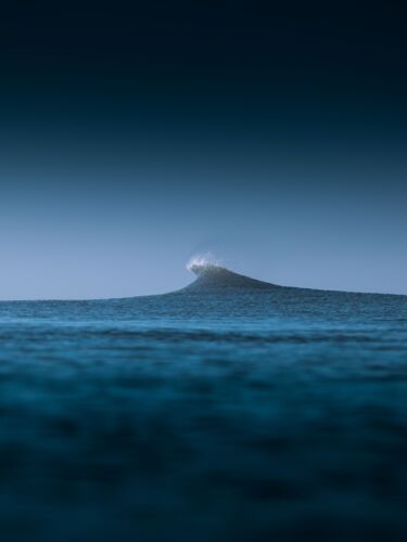 Blue horse - SergDady - Fotografia